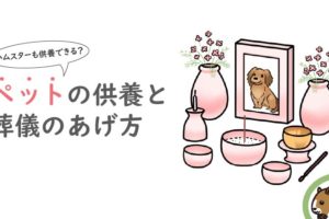 ハムスターも供養できる？ペットの供養と葬儀のあげ方